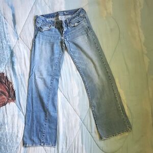 2010 American Eagle Favorite Boyfriend Jeans Size 2